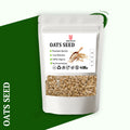 Oat Seeds | US ORGANICS